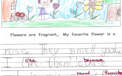 Voices from the Classroom – Kindergarten Writing Instruction